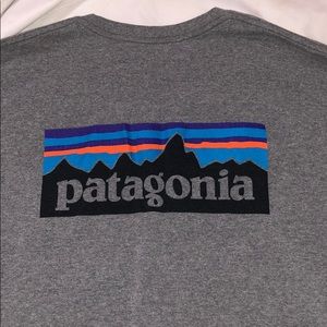 Basic Patagonia Tee